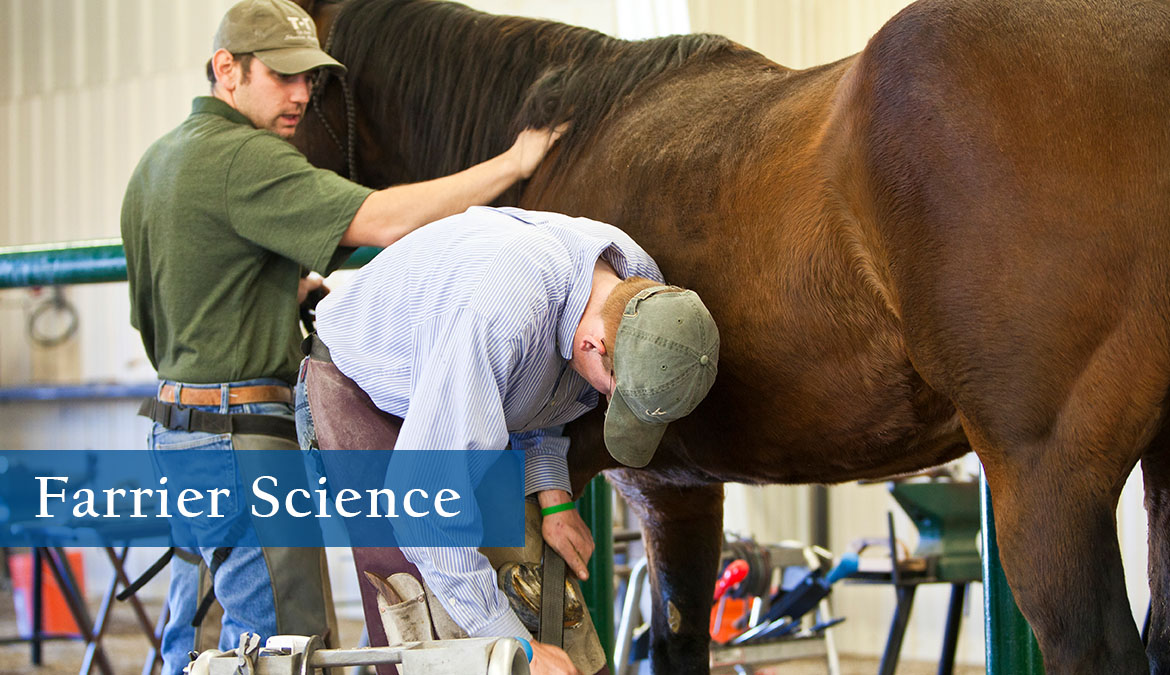 Farrier-Science Work with horses and earn a Farrier Science Certificate.