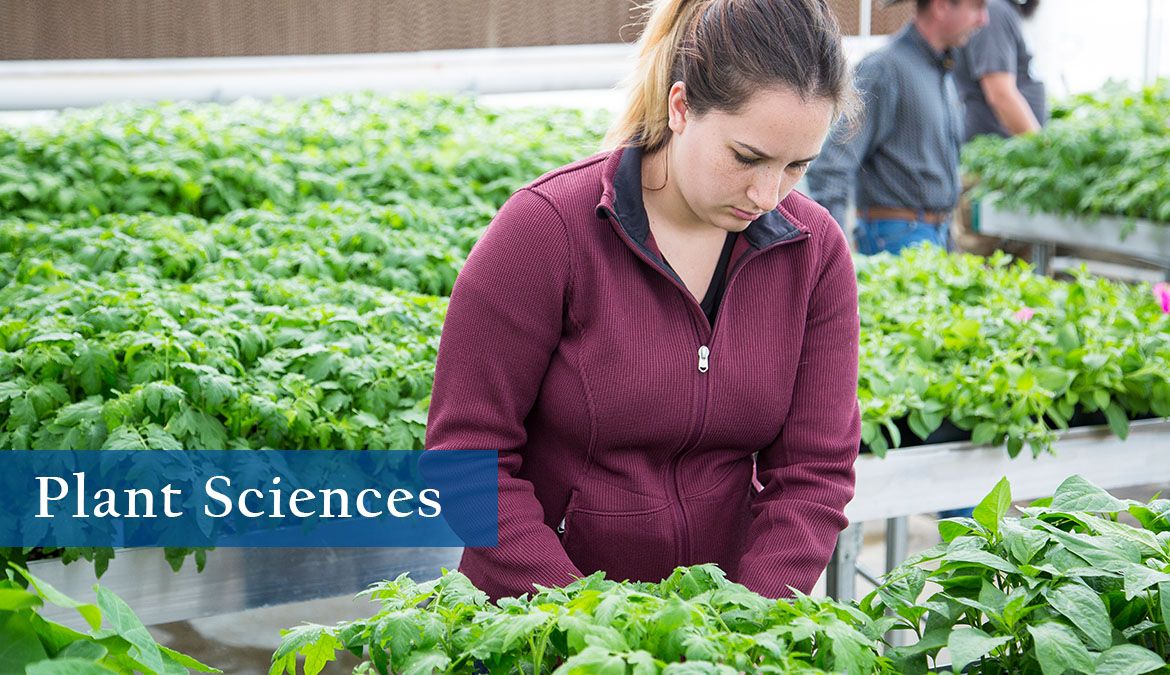 Plant-Sciences Plant Sciences program at Sheridan College
