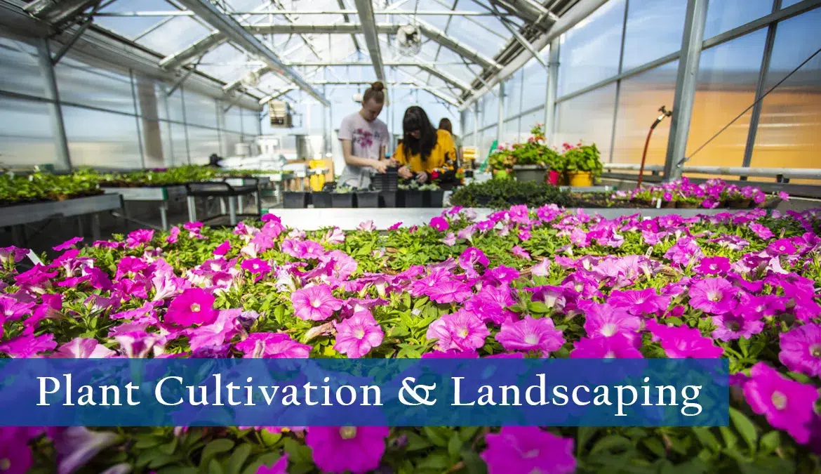 Plant-Cultivation-Landscaping Sheridan College Plant Cultivation and Landscaping program header image