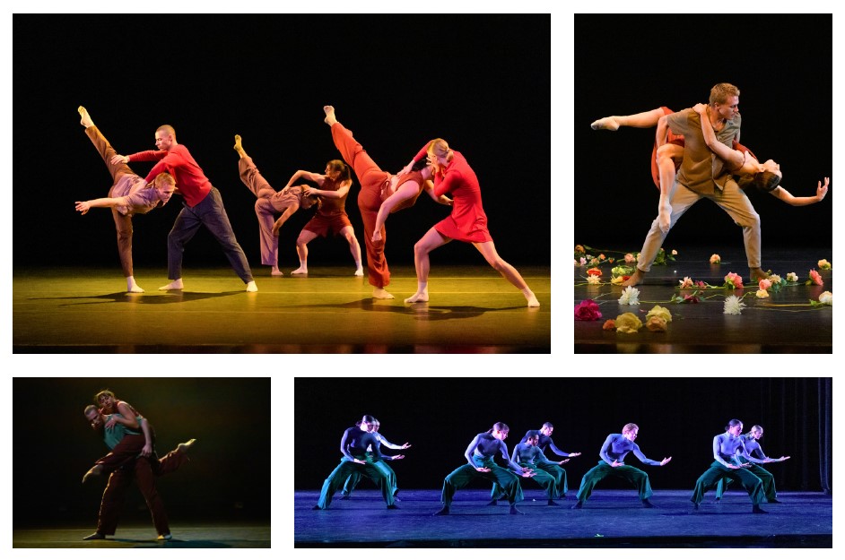 SALT Contemporary Dance Company